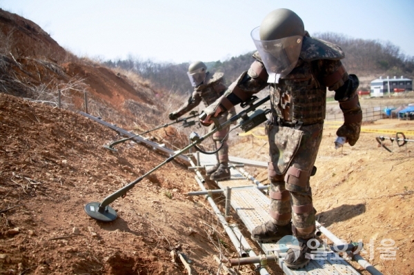 [6공병여단 보도자료]2020 지뢰제거작전 개시(인력에 의한 지뢰제거).