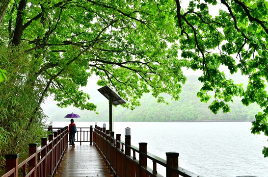 장성호 수변길 2