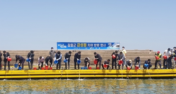 전남 장흥군 유치면 대리항 일원에 감성돔 치어가 대량으로 방류되고 있다.