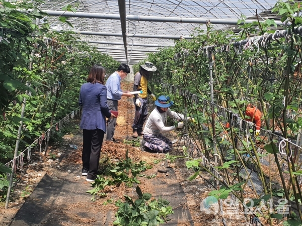 신규농업인 현장실습교육  @ 남해군 제공