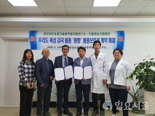 원향 품종보호권 계약 체결 @ 경상남도농업기술원 제공