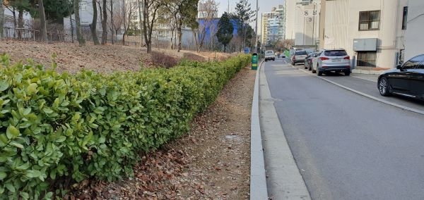 월동 완충녹지 전경