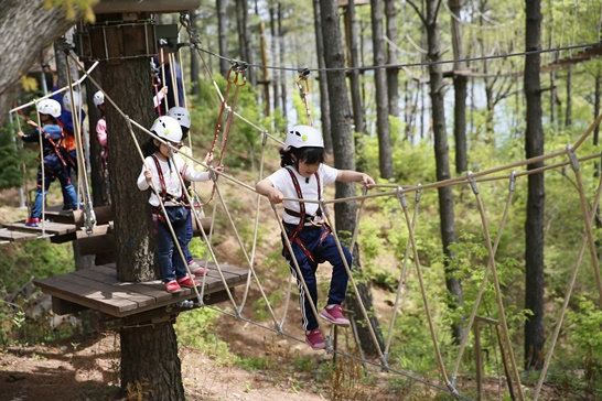 전남 보성군, KBS 1박2일에 나온 촬영지, 초등생 어드벤처 체험을 진행하고 있는 모습