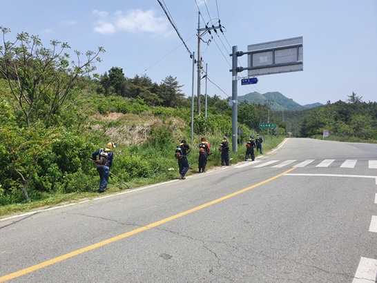 전남 영암군 학산면에서 주요 도로변 풀베기작업을 진행하고 있는 모습