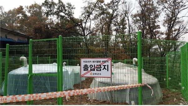 매몰지