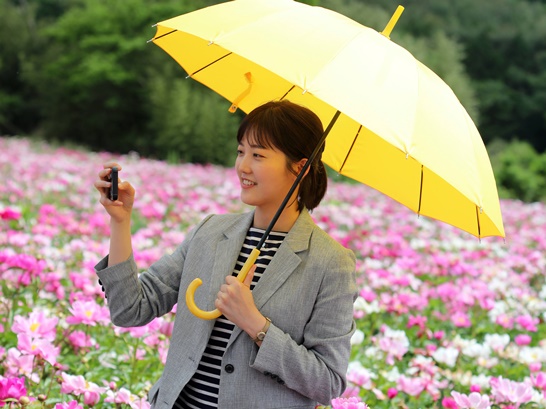 작약꽃1