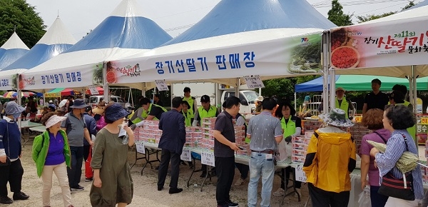 포항시가 6월 6일부터 7일까지 이틀간 장기산딸기 드라이브 스루 판매를 실시한다.