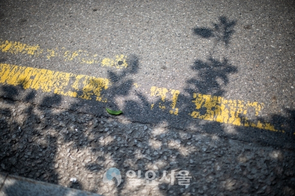 [사진=황기현 기자]