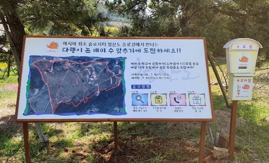 청산도 다랭이논 배미 수 맞히기 이벤트