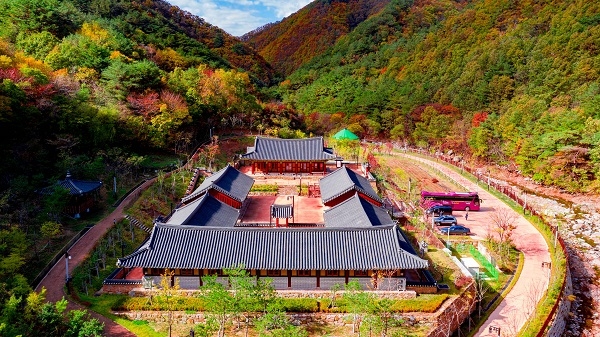 김천 치유의숲.