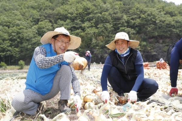 신정민 의령군수 권한대행이 10일, 유곡면 덕천마을 양파농가에서 직원들과 일손돕기를 하고 있다.
