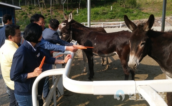 군민 힐링마투어 프로그램(지난해 사진)