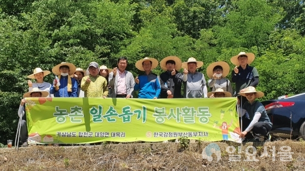 한국감정원 부산동부지사는 16일 오전부터 김석천 지사장 등 20여 명의 직원들이 합천군 대양면 이계마을에서 농촌일손돕기를 했다.