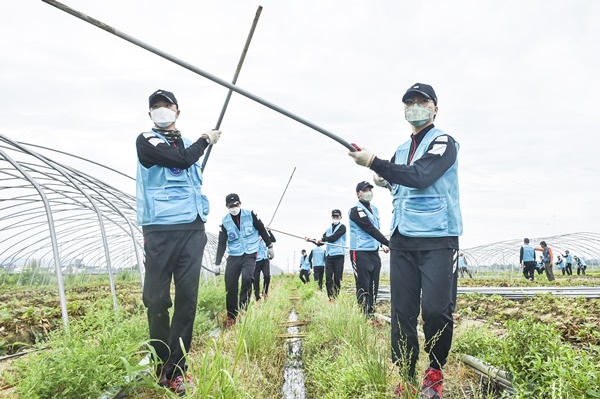 ▲17일 공군 제1전투비행단은 일손부족으로 어려움을 겪는 지역 농가를 돕기 위해  농촌 일손돕기 대민지원을 실시했다.(사진제공=공군 제1전투비행단)