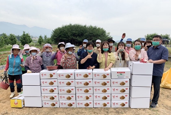 전남 담양군 봉산면에서는 직접 키운 하지감자로 관내 경로당과 아동세터 등에 간식으로 제공하는 등 나눔을 실천하고 있다.