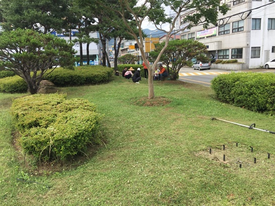 영암읍 풀베기를 진행한 모습