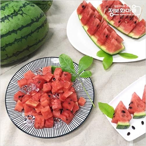 광양시 정보화마을 미니수박 2종 판매개시(복수박)