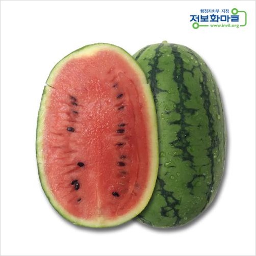 광양시 정보화마을 미니수박 2종 판매개시(복수박)
