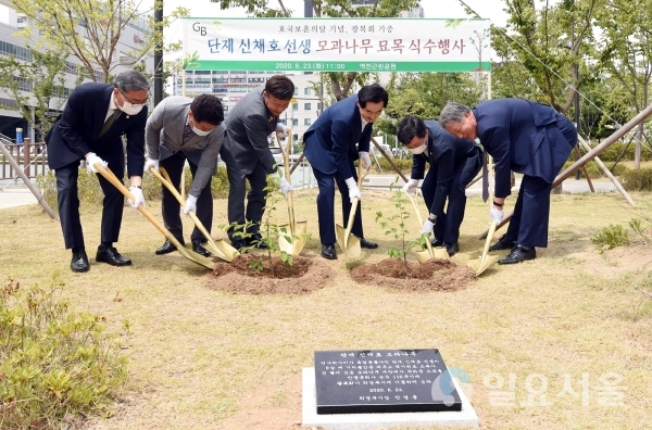 신채호선생 모과나무 식수