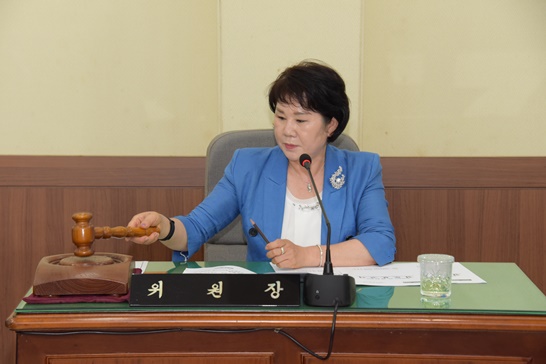 이정옥 예산결산특별위원장