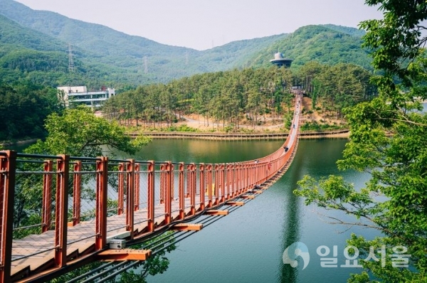 마장호수 출렁다리