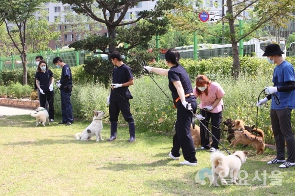 고양시, 동물보호센터 오는 7월1일 공식 개방...‘유기견 산책체험봉사’ 접수 개시_산책