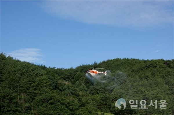 밤나무해충 항공방제