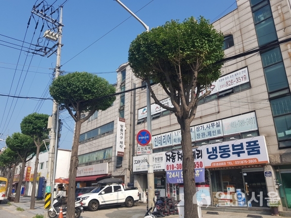 가로수길테마전정실시