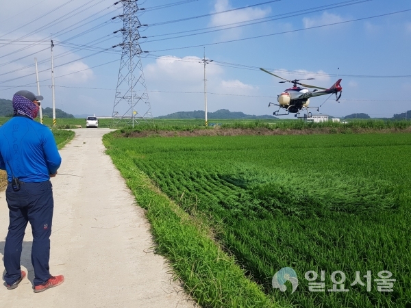 무인헬기 활용 병해충 공동방제
