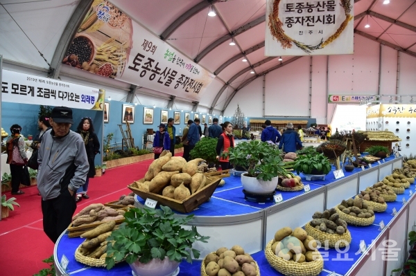 2019 토종농산물 종자 전시회 모습