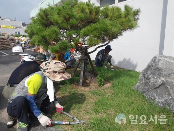 지난해 지역공동체일자리사업 시행 장면