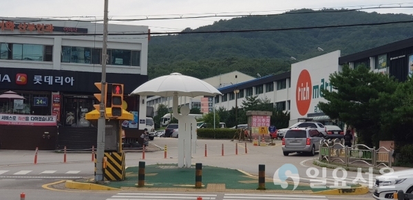 노랑신호등과 감동우산