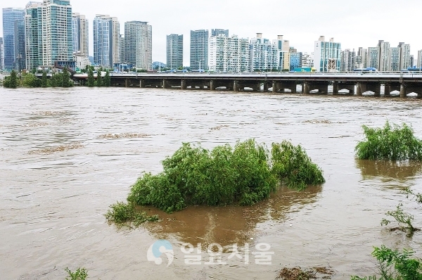 소양강댐이 3년 만에 방류를 시작하면서 팔당댐이 초당 1만8000톤의 물을 방류하기 시작했다. 이에 한강수위도 상승하면서 한강홍수통제소는 오전 11시를 기점으로 홍수주의보를 발령했다. [이창환 기자]