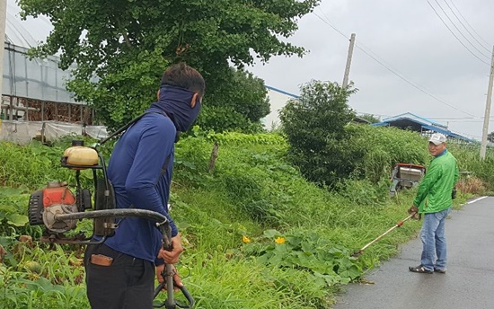영암읍 가로수 연도변 풀베기 및 환경정비