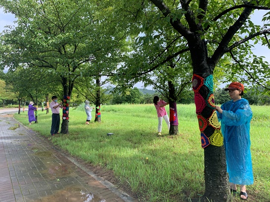 광양시 금호동으로 꽃구경 오세요, 코스모스 활짝!