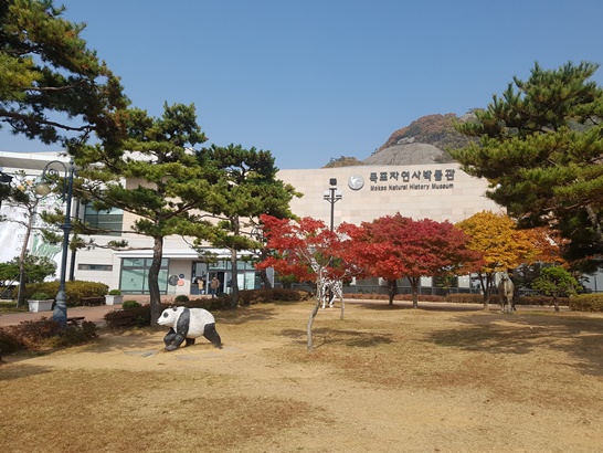 전남 목포시에 위치한 자연사박물관 전경