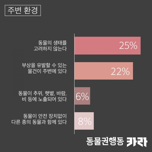 [카라]