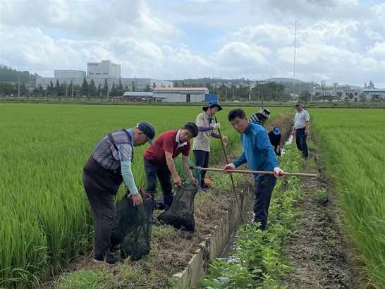 지난 12일 학교면 월산리 일대에서 열린 왕우렁이 수거 시연회 모습
