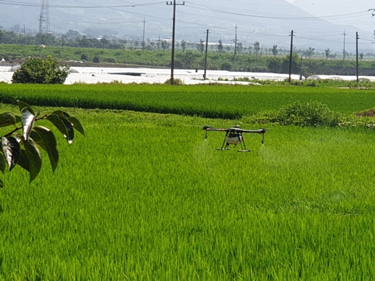 전남 구례군이 침수 지역에 벼 병해충 공동방제를 실시하고 있다.