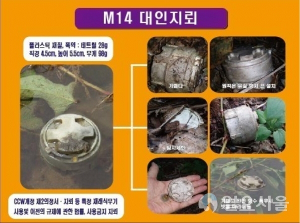 집중호우로 인한 유실지뢰 피해사고 예방 추진