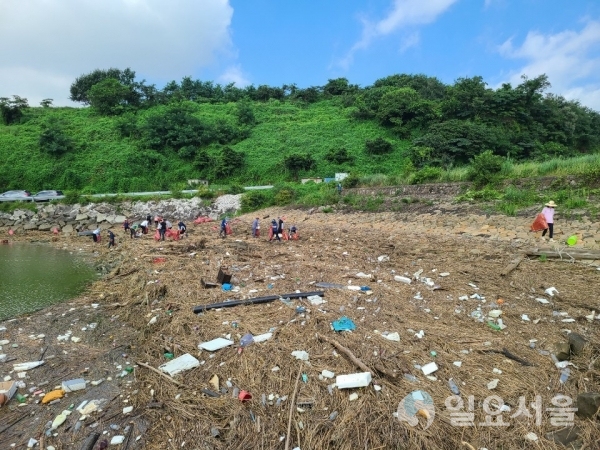 지난 7·8일 집중호우로 섬진강이 범람하고 화개장터와 하동읍 일부가 침수되는 등 큰 피해를 내면서 섬진강으로부터 남해바다로 유입된 해양쓰레기가 역대 최대치를 기록했다. @ 하동군 제공
