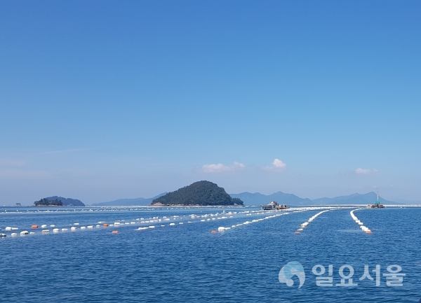 어장 전경 @ 경상남도 제공