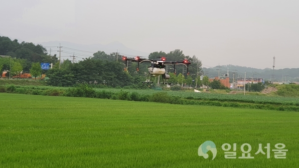 드론을 활용한 공동방제 큰 호응