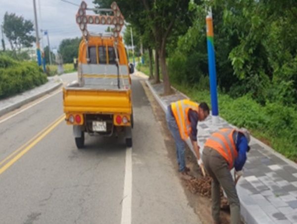 배수 지장물 제거 및 점검