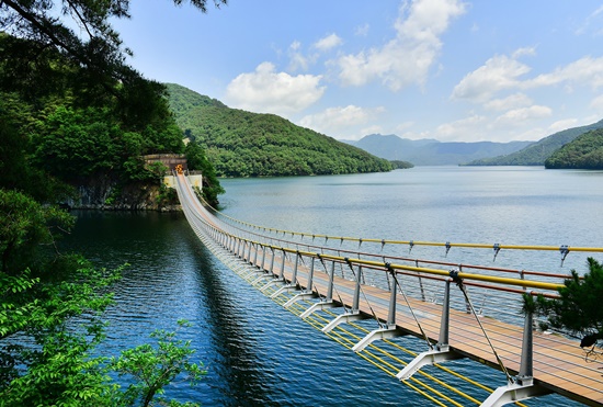22일부터 사회적 거리두기 2단계가 시행됨에 따라 장성군이 다중 이용 공공시설의 운영을 전면 중단한다. 사진은 장성호 수변길 황금빛 출렁다리