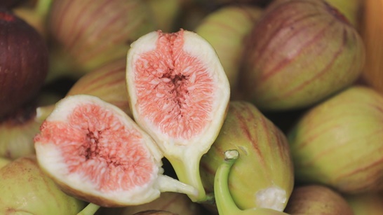 전남 영암군은 지역특화과수인 무화과가 8월 중순부터 본격적으로 수확되고 있다고 밝혔다.