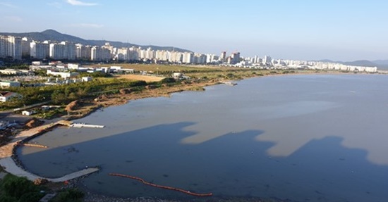 영산강 하류 모습