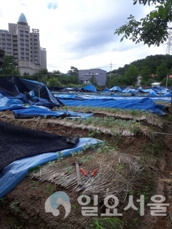 포천시, 농업인안전재해보험 및 농작물재해보험 가입에 막바지 총력.