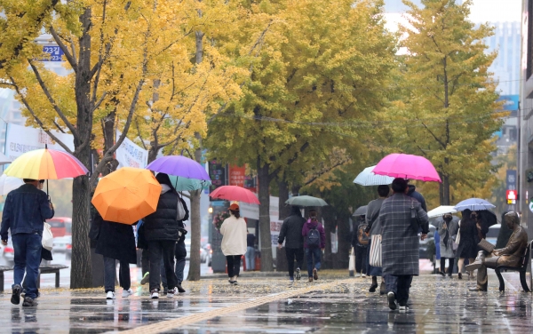 전국에 가을비가 내린 1일 서울 종로구 광화문 인근에서 시민들이 낙엽길을 걷고 있다. 2020.11.01. [뉴시스]