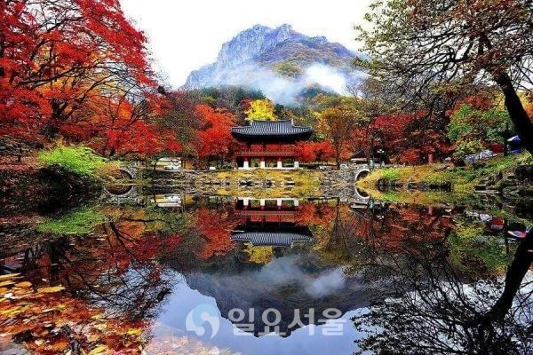 전남 장성에 위치한 백양사 전경. [사진=백양사 제공]